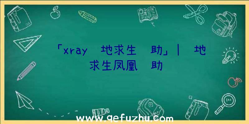 「xray绝地求生辅助」|绝地求生凤凰辅助